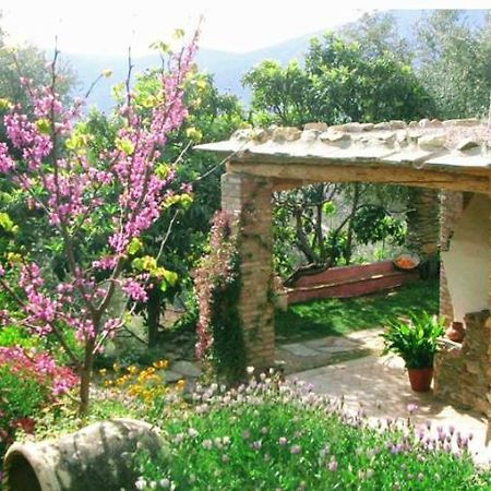 Mountain House Surrounded By Nature Bayacas Εξωτερικό φωτογραφία