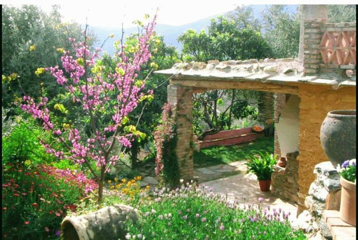 Mountain House Surrounded By Nature Bayacas Εξωτερικό φωτογραφία